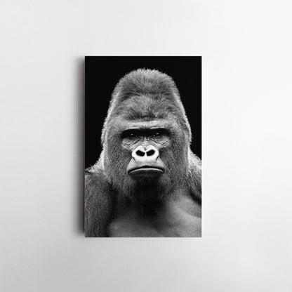 Gorilla Portrait in Black and White Canvas Print ArtLexy   