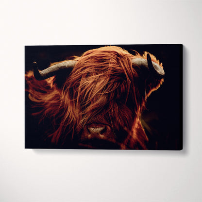 Amazing Portrait of Scottish Highland Cow Canvas Print ArtLexy 1 Panel 24"x16" inches 