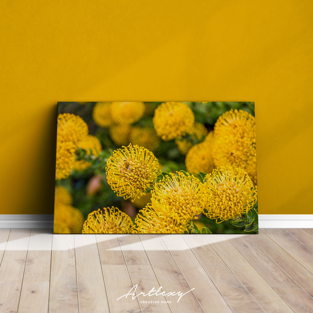 Yellow Protea Flowers Canvas Print ArtLexy   