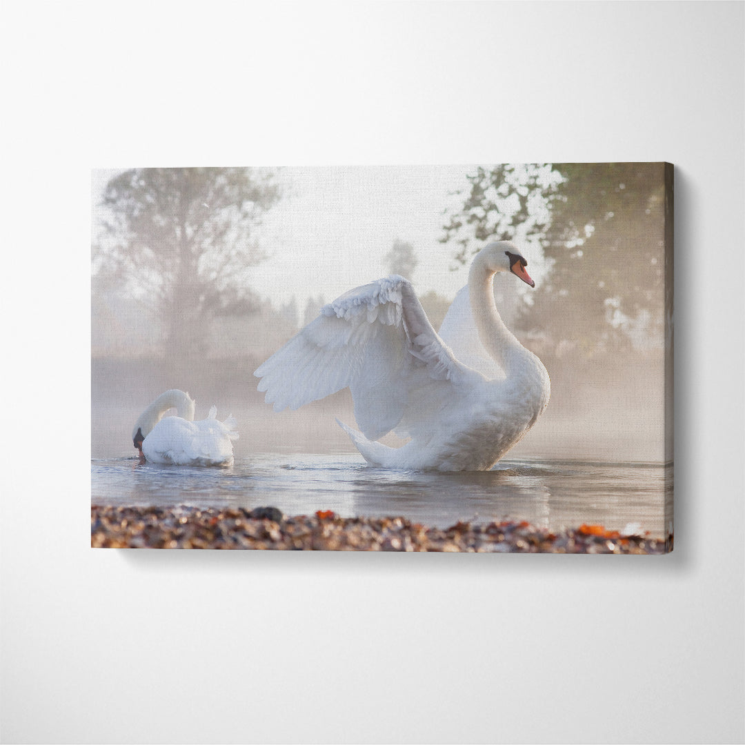 White Swan on Foggy Lake Canvas Print ArtLexy   