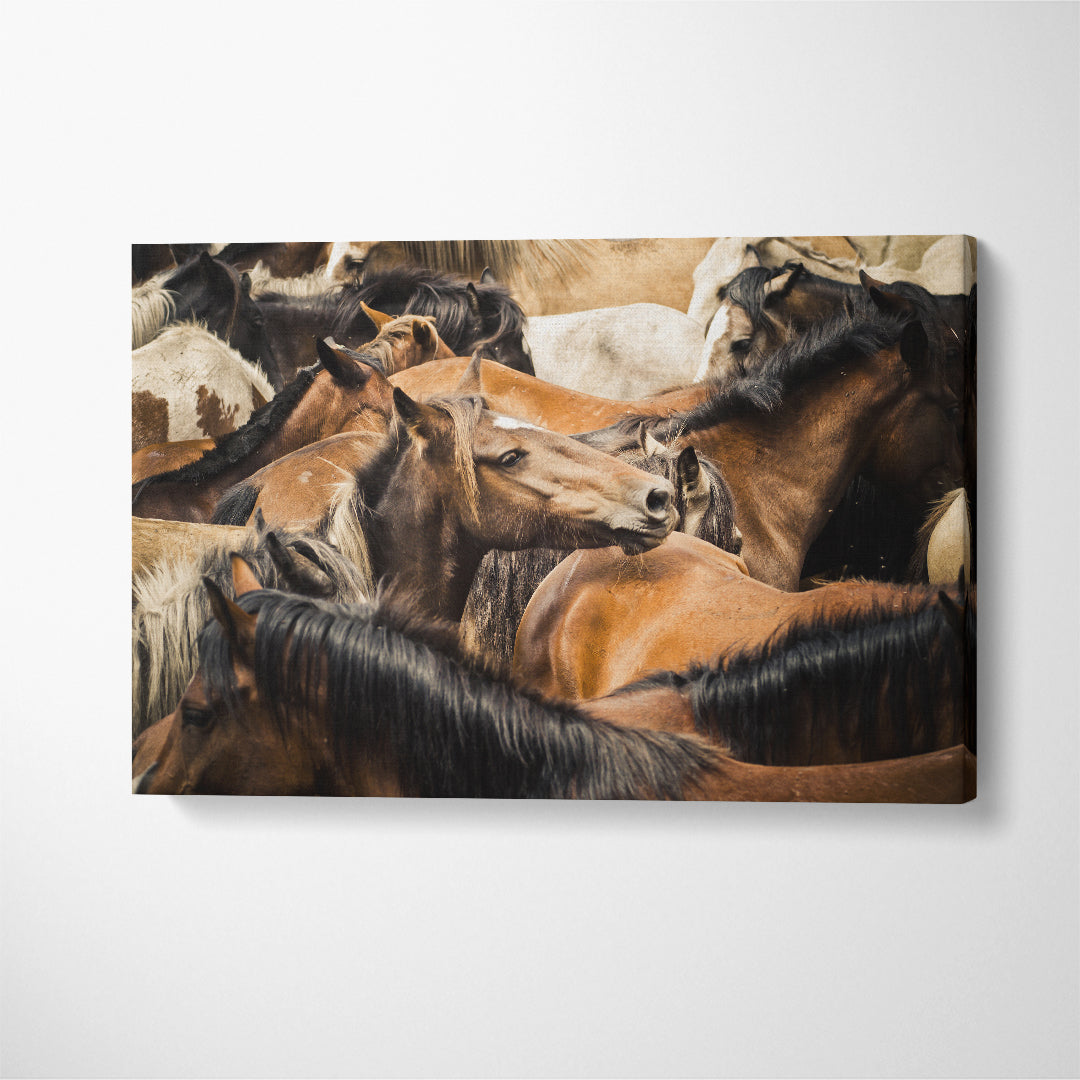 Herd of Amazing Horses Canvas Print ArtLexy 1 Panel 24"x16" inches 