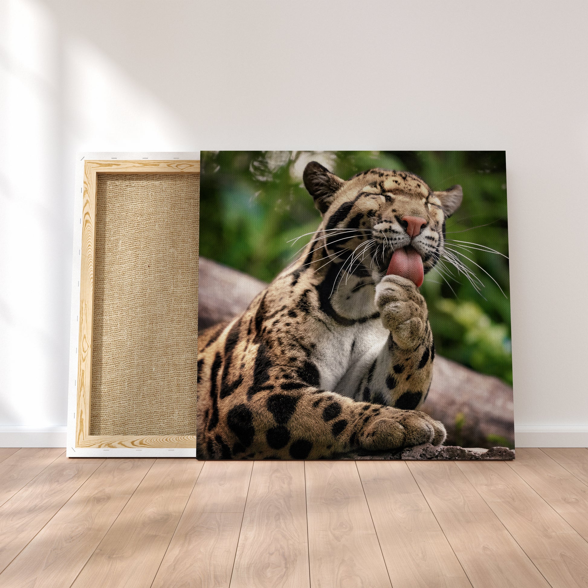 Clouded Leopard Canvas Print ArtLexy 1 Panel 12"x12" inches 