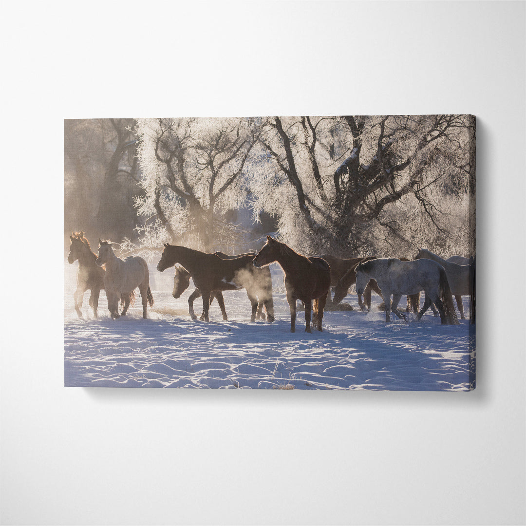 Herd of Horses on Winter Morning Canvas Print ArtLexy 1 Panel 24"x16" inches 