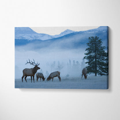 Deer in Rocky Mountains on Frosty Morning Canvas Print ArtLexy 1 Panel 24"x16" inches 