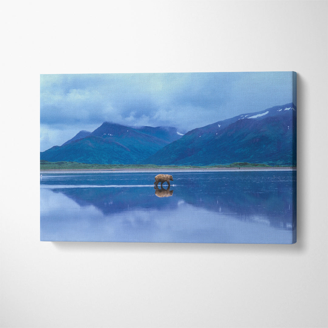 Lonely Brown Bear at Izembek National Wildlife Refuge Alaska Canvas Print ArtLexy 1 Panel 24"x16" inches 