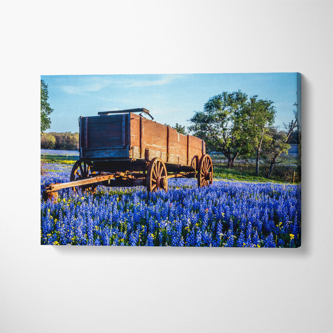 Bluebonnets Field Texas Hill Country Canvas Print ArtLexy 1 Panel 24"x16" inches 