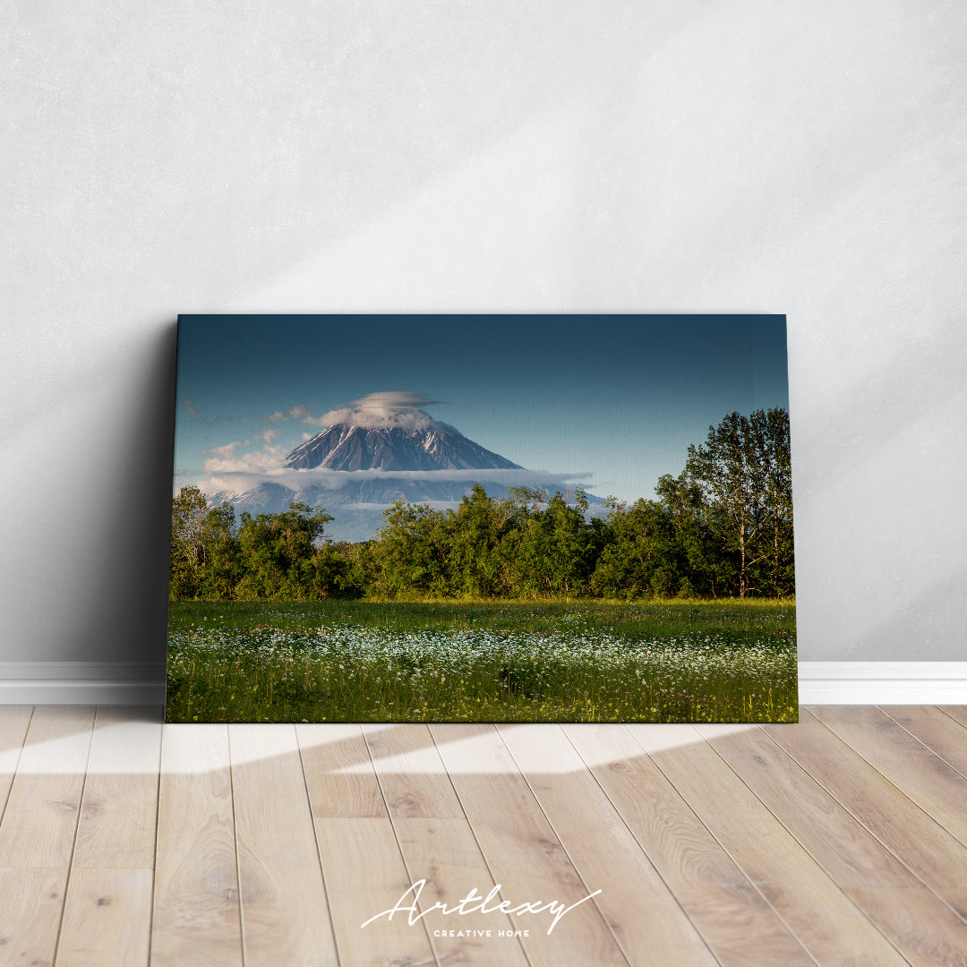 Chamomile Field and Koryak Volcano Kamchatka Canvas Print ArtLexy   