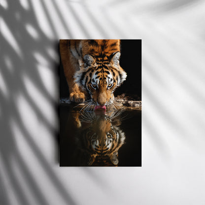 Tiger Drinks Water Canvas Print ArtLexy 1 Panel 16"x24" inches 
