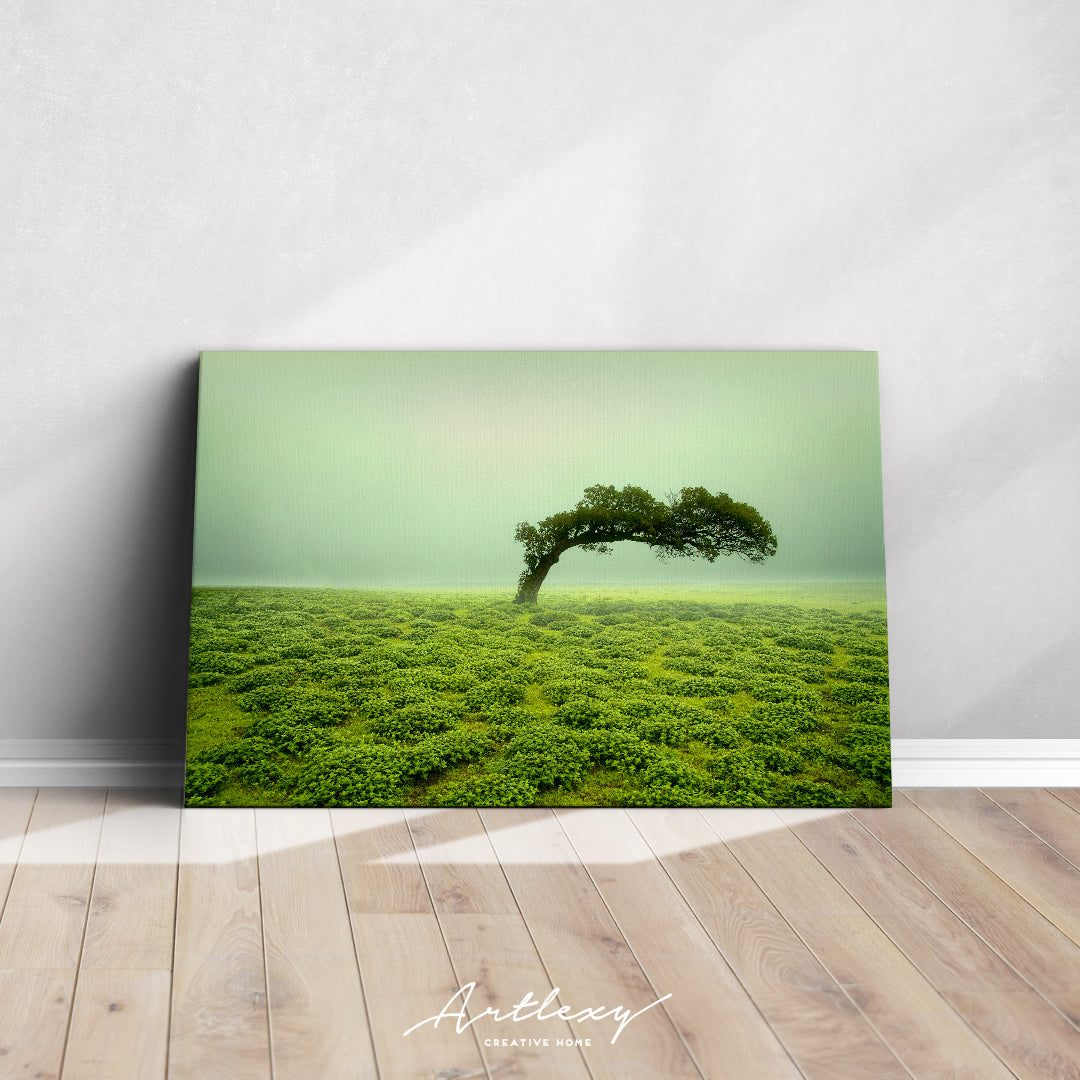 Beautiful Landscape with Lonely Tree Kaas Plateau India Canvas Print ArtLexy   