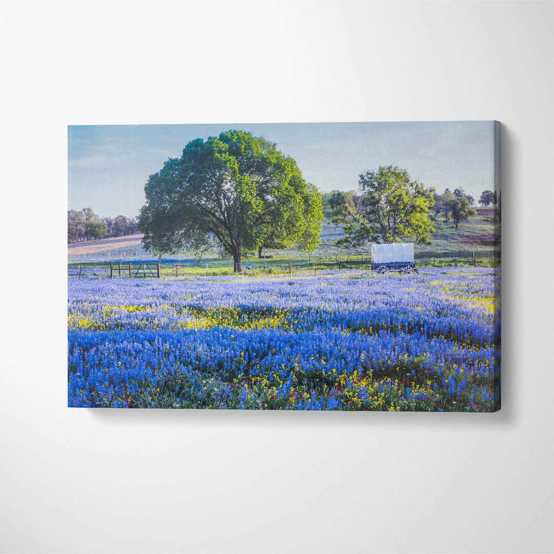 Texas Hill Country South Texas Canvas Print ArtLexy 1 Panel 24"x16" inches 