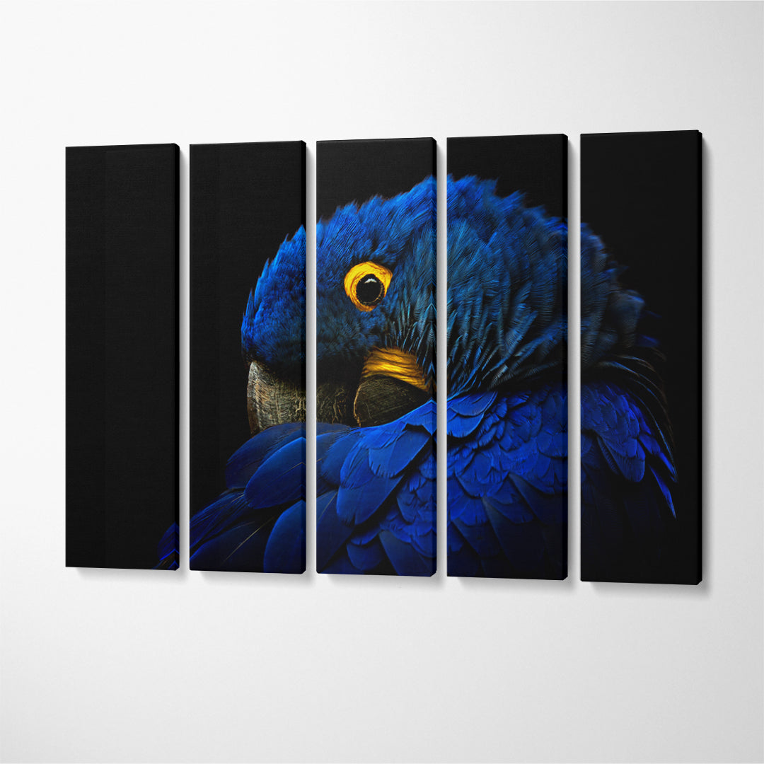 Hyacinth Macaw Portrait Canvas Print ArtLexy 5 Panels 36"x24" inches 