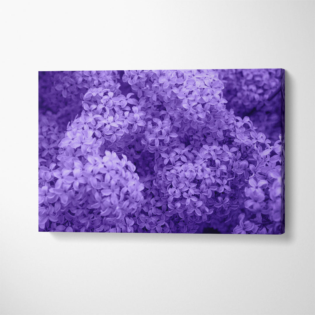 Blooming Lilac Flowers Canvas Print ArtLexy 1 Panel 24"x16" inches 
