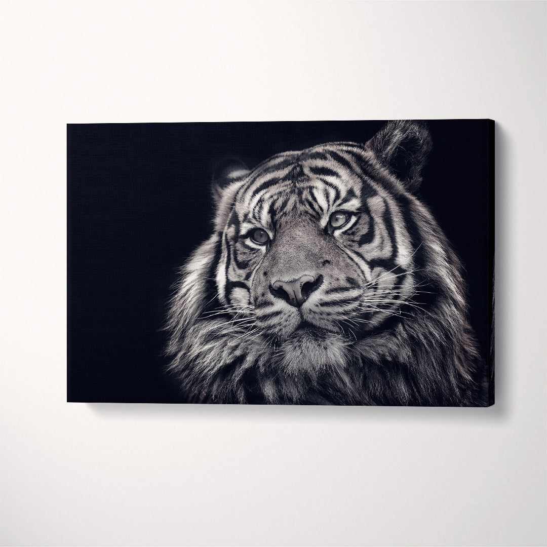 Black and White Tiger Portrait Canvas Print ArtLexy 1 Panel 24"x16" inches 