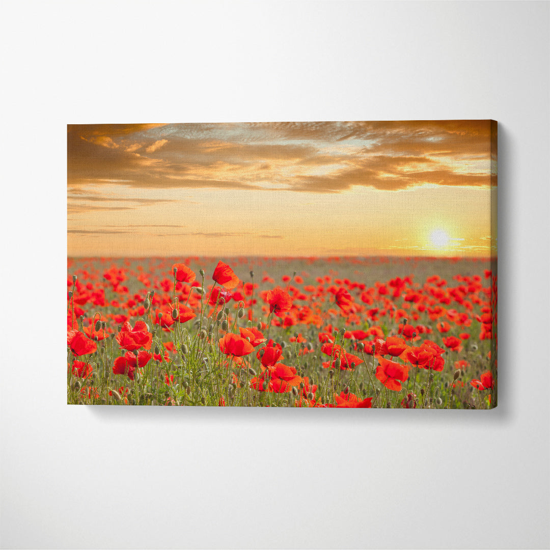 Amazing Poppy Field Landscape Canvas Print ArtLexy   