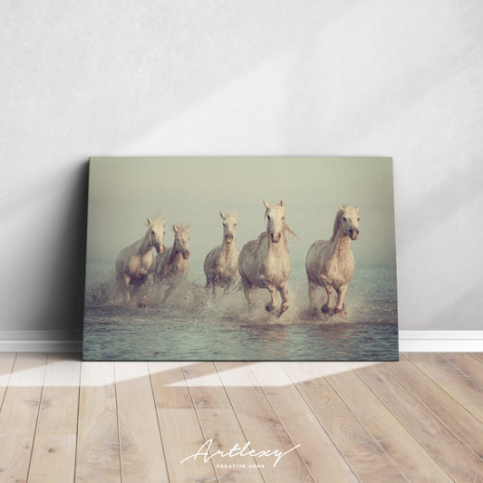 Herd of White Horses Running in Sea Canvas Print ArtLexy   