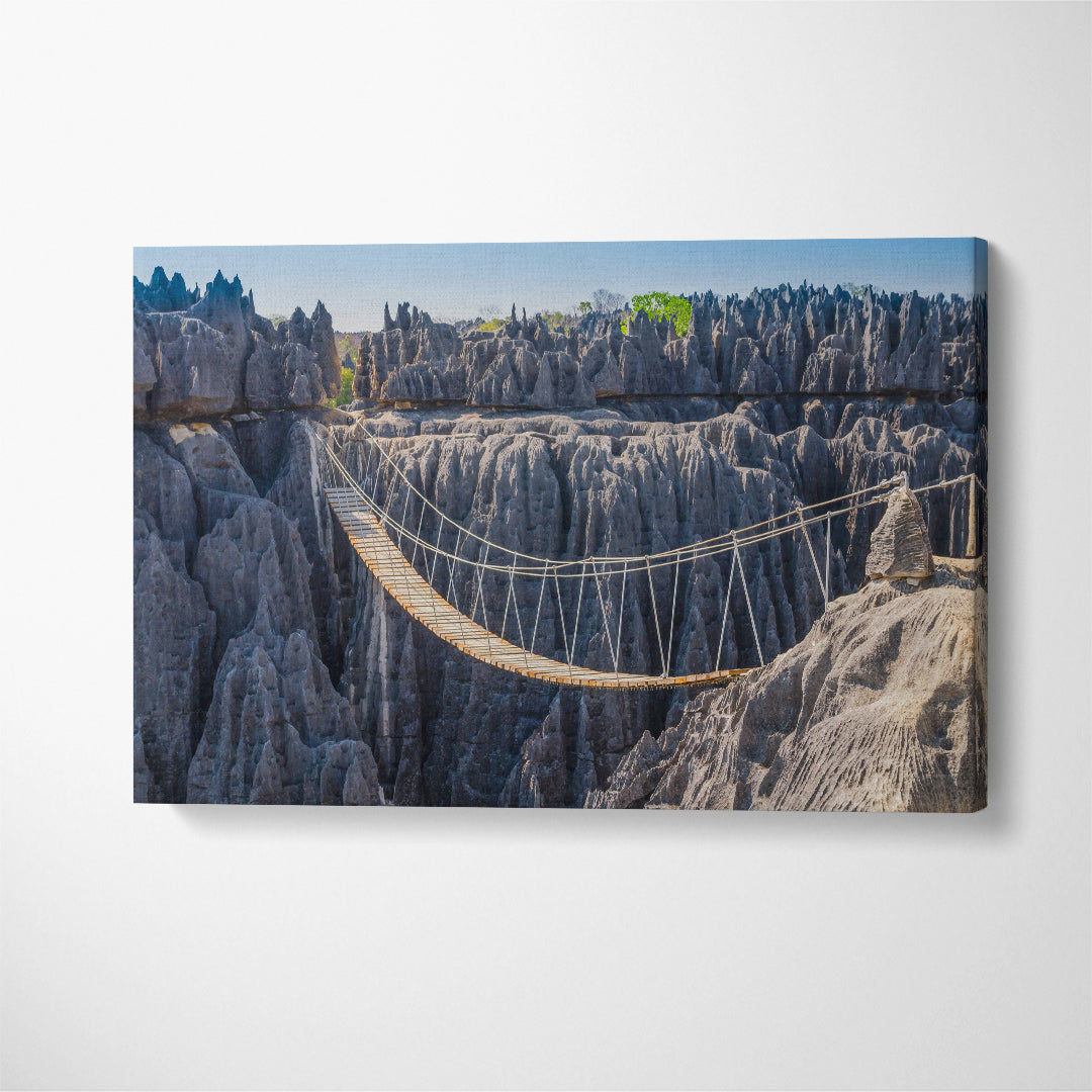 Hanging Bridge at Tsingy de Bemaraha National Park Madagascar Canvas Print ArtLexy 1 Panel 24"x16" inches 
