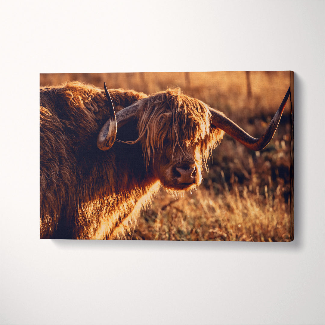 Highland Cow Canvas Print ArtLexy 1 Panel 24"x16" inches 