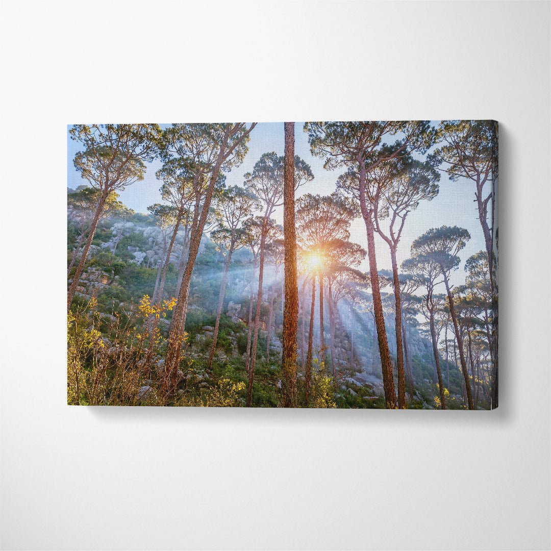 Beautiful Pine Trees Forest Landscape Canvas Print ArtLexy 1 Panel 24"x16" inches 