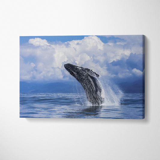 Humpback Whale Costa Rica Canvas Print ArtLexy 1 Panel 24"x16" inches 