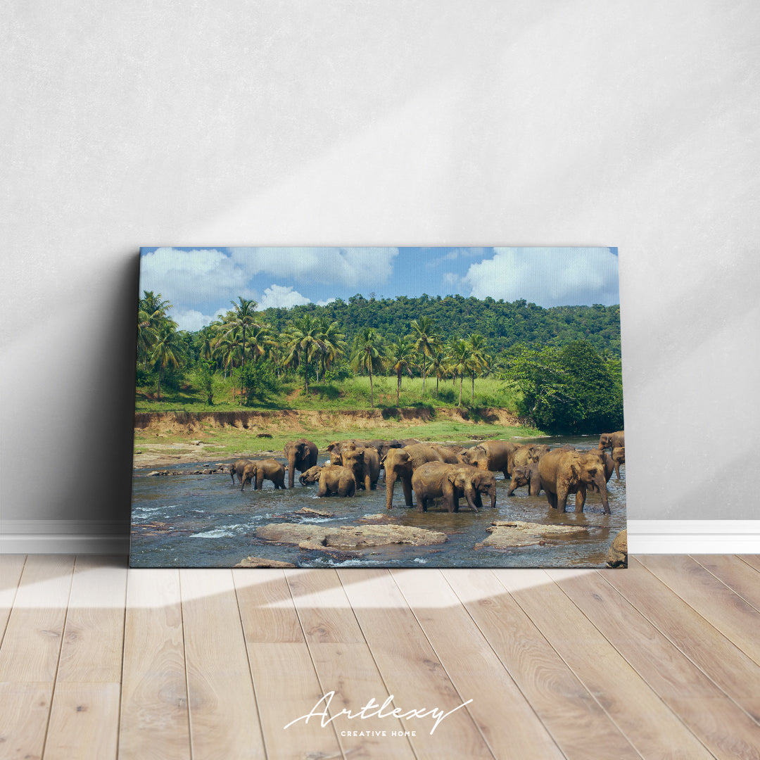 Sri Lanka Elephants in Jungle Canvas Print ArtLexy   