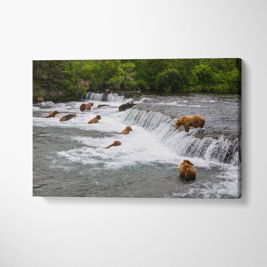 Bears Hunting Salmon at Brooks Falls Alaska Canvas Print ArtLexy 1 Panel 24"x16" inches 