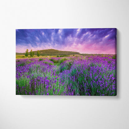 Lavender Field Tihany Hungary Canvas Print ArtLexy 1 Panel 24"x16" inches 