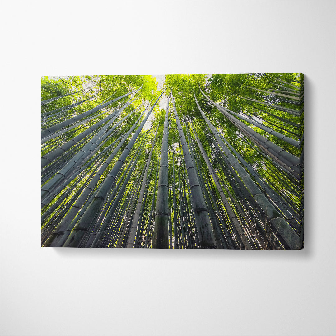 Stunning Bamboo Grove Arashiyama Kyoto Canvas Print ArtLexy 1 Panel 24"x16" inches 