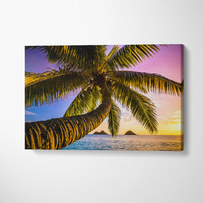 Beautiful Palm Tree on Oahu Beach Canvas Print ArtLexy 1 Panel 24"x16" inches 