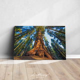 Giant Sequoia Trees in Sequoia National Park USA Canvas Print ArtLexy   