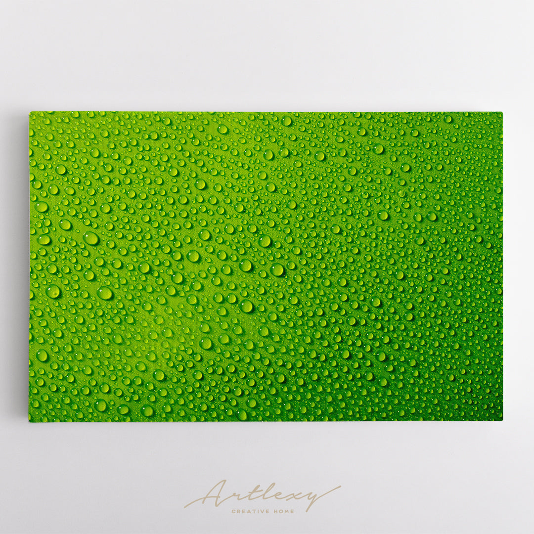 Water Drops on Green Backdrop Canvas Print ArtLexy   