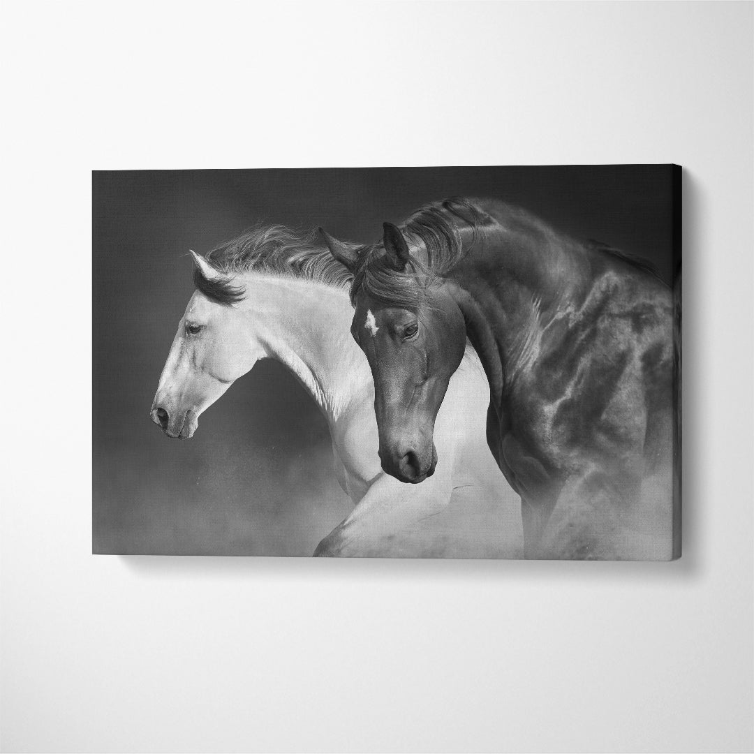 Stunning Black and White Horses Run Gallop Canvas Print ArtLexy 1 Panel 24"x16" inches 