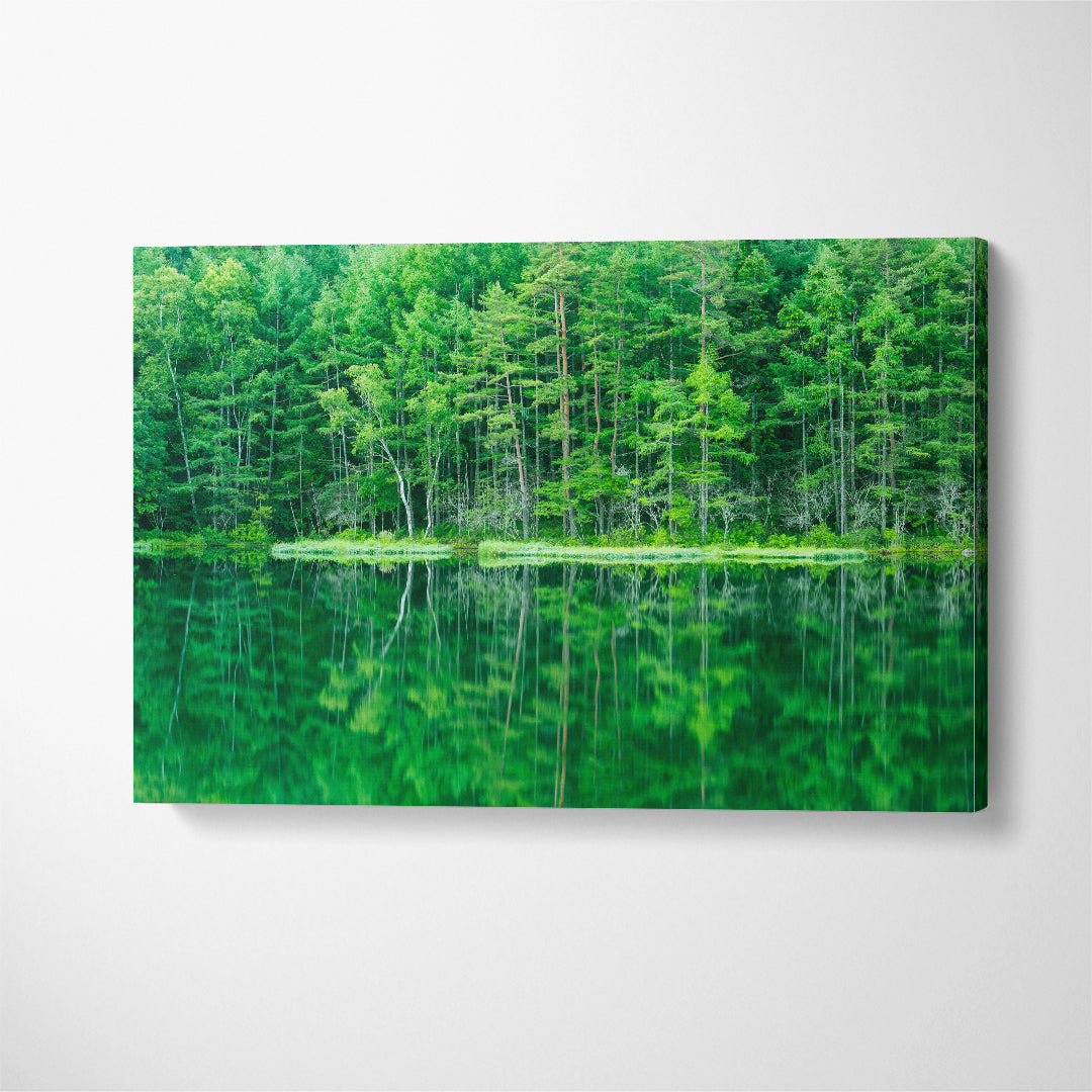 Trees Reflection in Mishaka Pond Japanese Canvas Print ArtLexy 1 Panel 24"x16" inches 