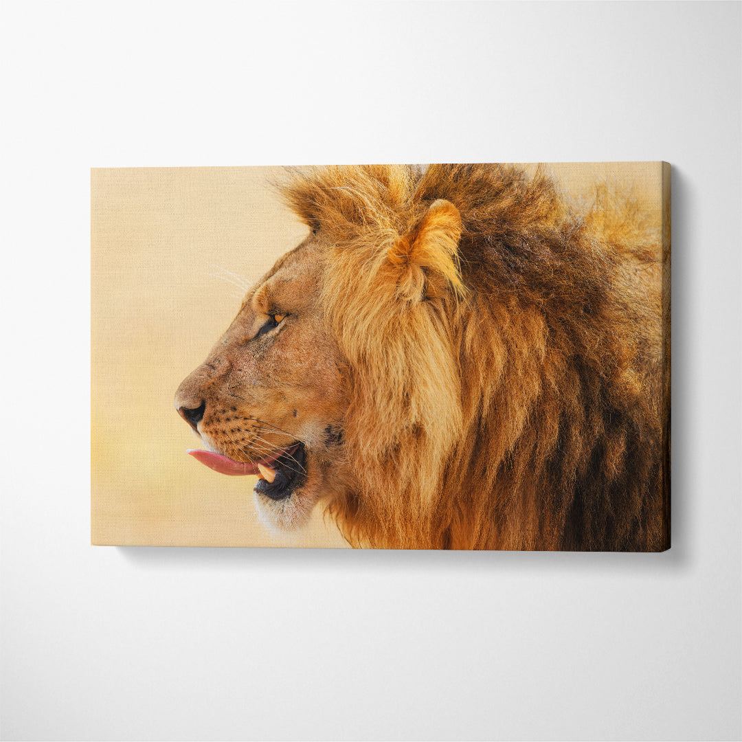 Big Lion in Masai Mara Kenya Canvas Print ArtLexy 1 Panel 24"x16" inches 