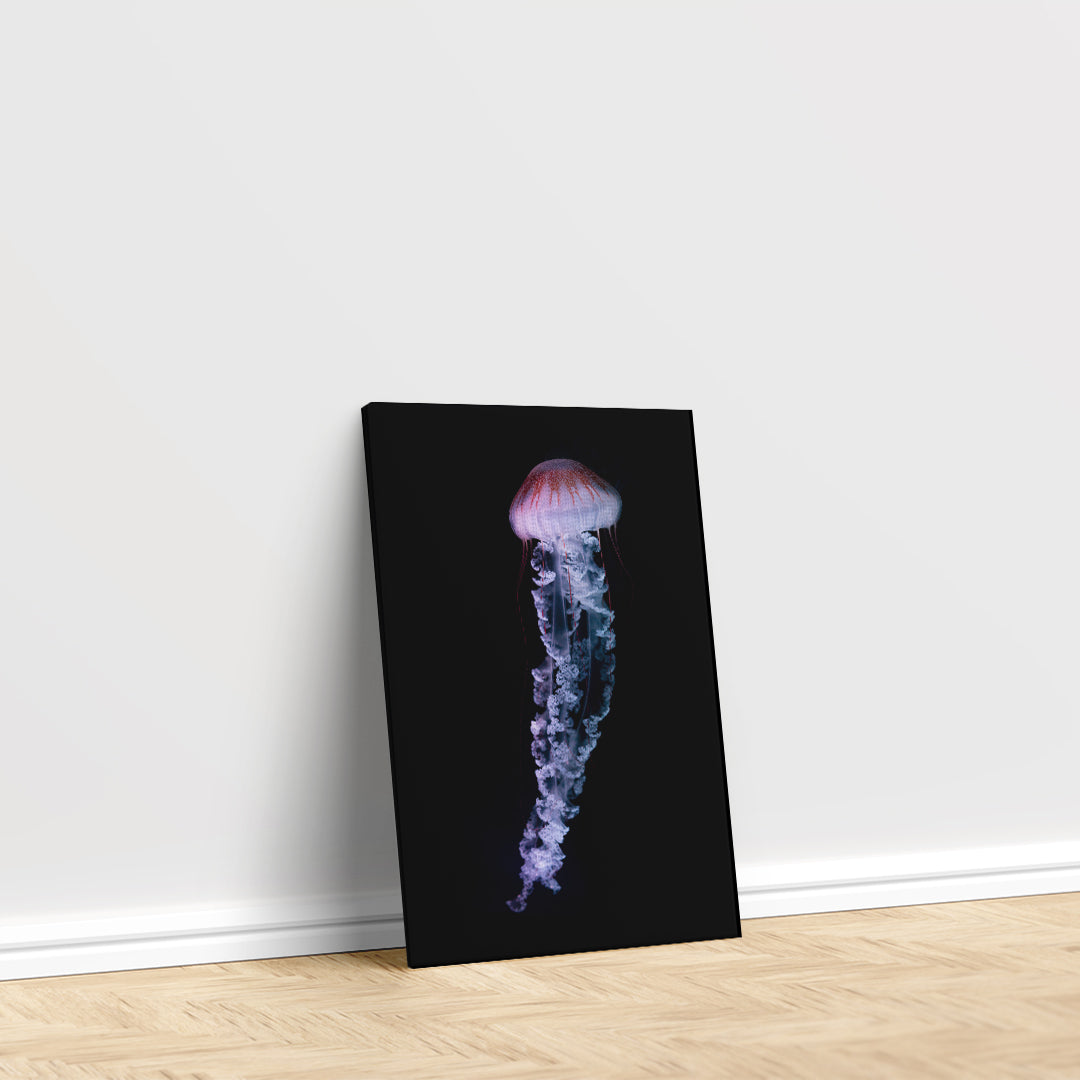 Purple-Striped Jellyfish (Chrysaora Colorata) Canvas Print ArtLexy   