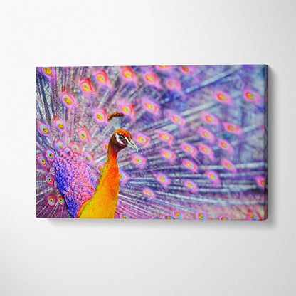 Amazing Peacock Canvas Print ArtLexy 1 Panel 24"x16" inches 