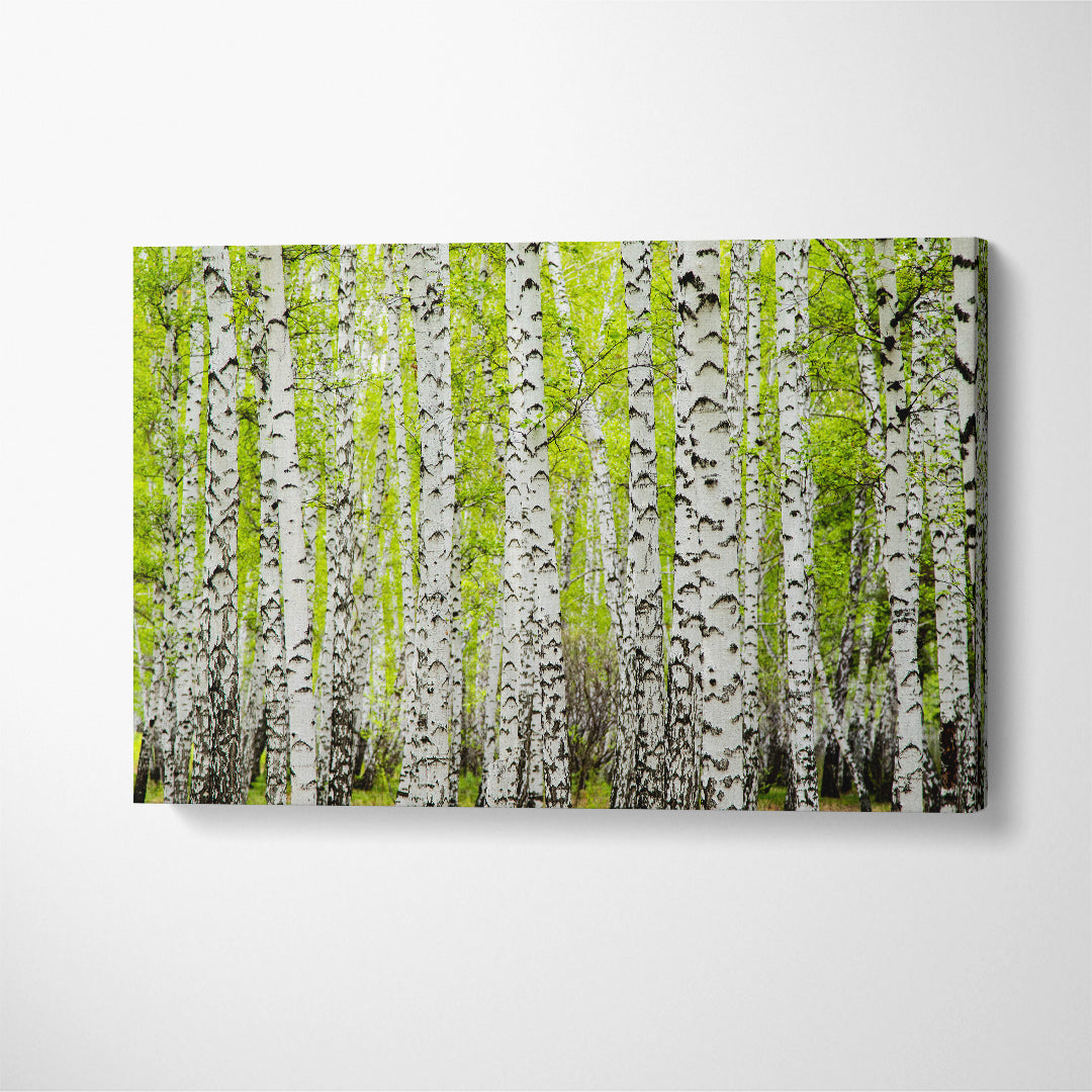 Amazing Birch Forest Trees Canvas Print ArtLexy 1 Panel 24"x16" inches 