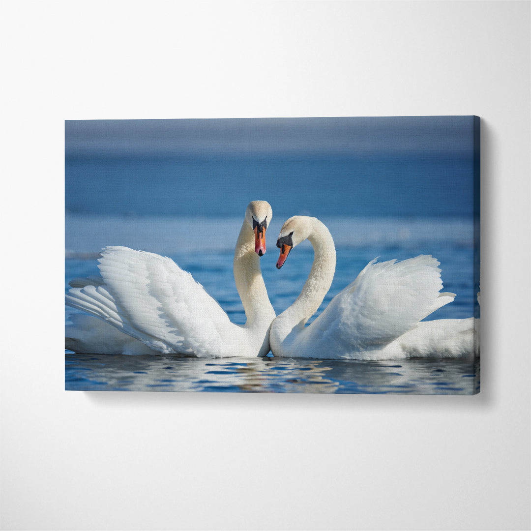 Beautiful Swan Couple Canvas Print ArtLexy   