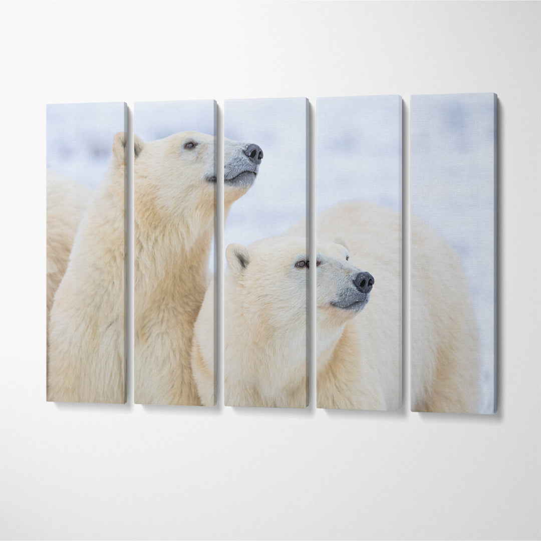 Two Polar Bear Canvas Print ArtLexy 5 Panels 36"x24" inches 