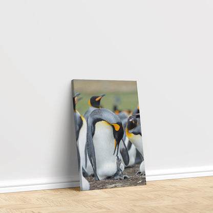 King Penguin Family Canvas Print ArtLexy   