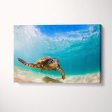 Hawaiian Green Sea Turtle Pacific Ocean Hawaii Canvas Print ArtLexy 1 Panel 24"x16" inches 