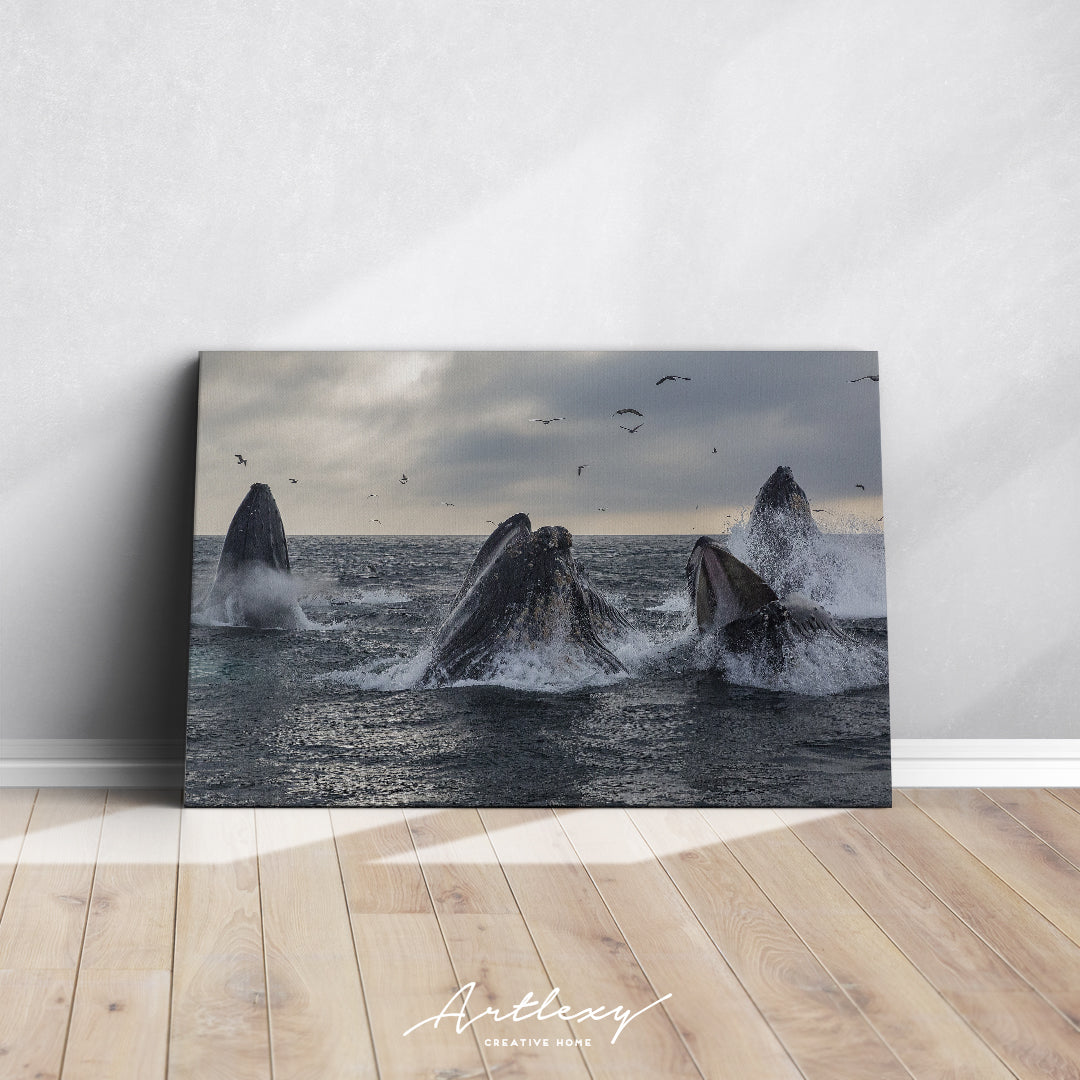 Humpback Whales Canvas Print ArtLexy   