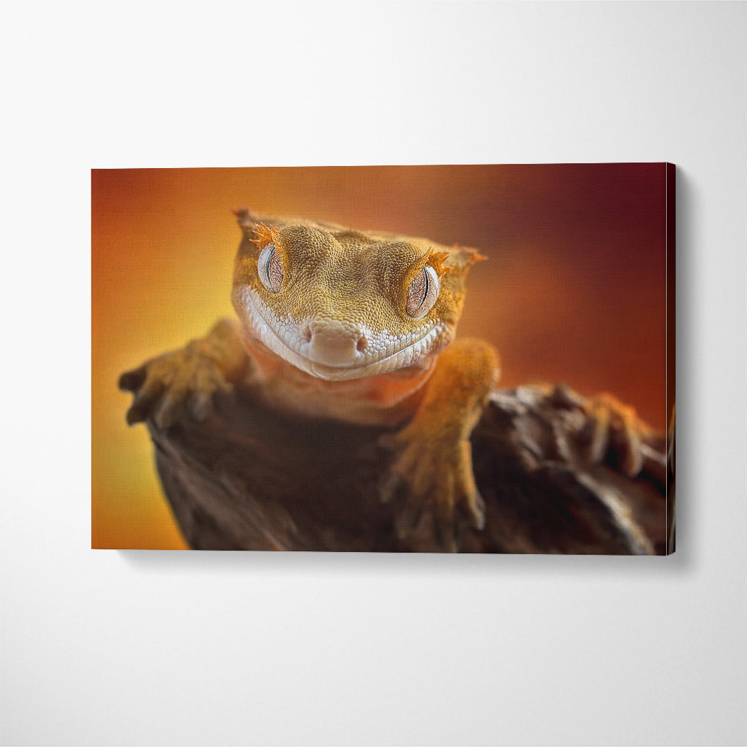 Cute Crested Gecko Canvas Print ArtLexy 1 Panel 24"x16" inches 