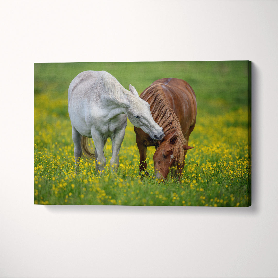 Horses on Flowers Field Canvas Print ArtLexy 1 Panel 24"x16" inches 