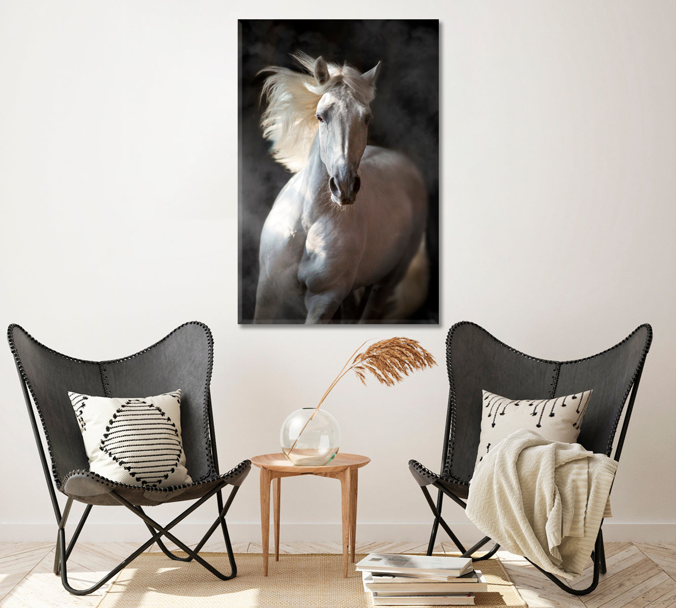 White Andalusian Horse Canvas Print ArtLexy   