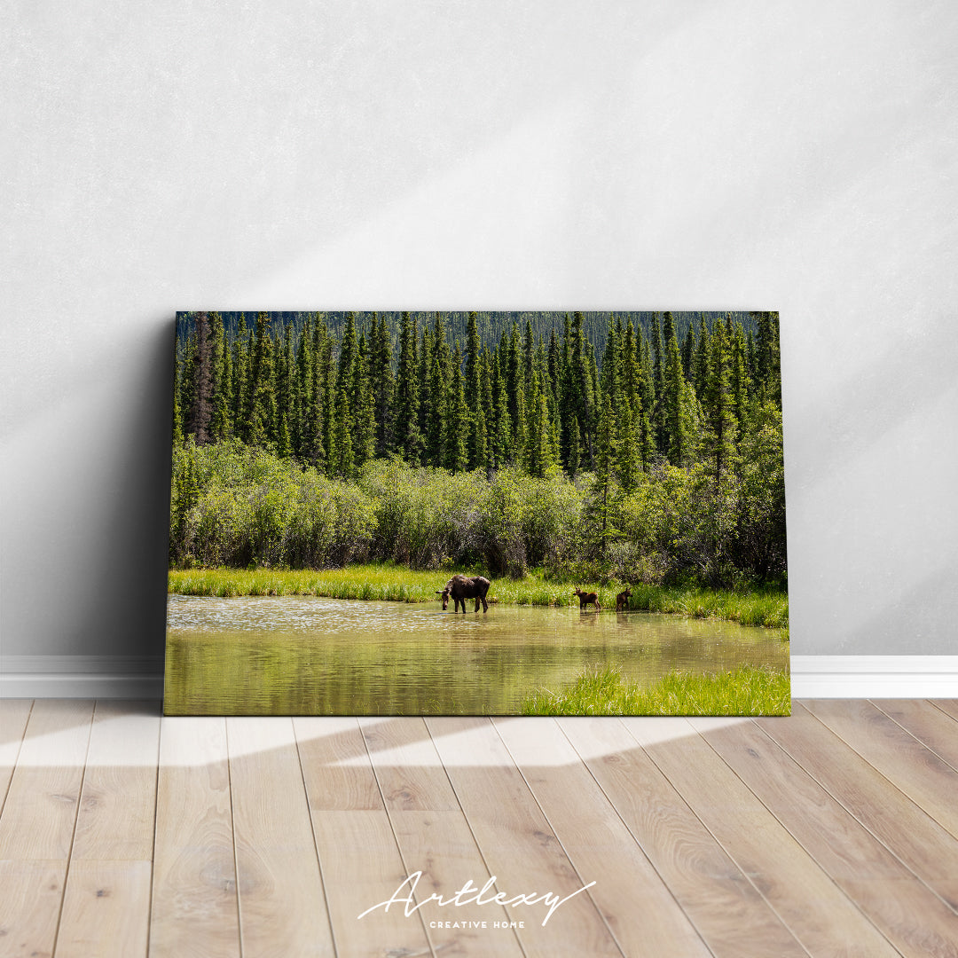 Moose in Tongass National Forest Alaska Canvas Print ArtLexy   