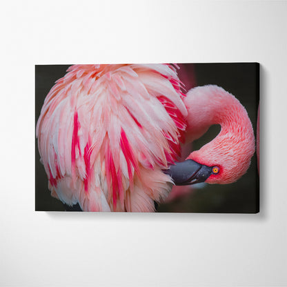 Beautiful Flamingo Canvas Print ArtLexy 1 Panel 24"x16" inches 