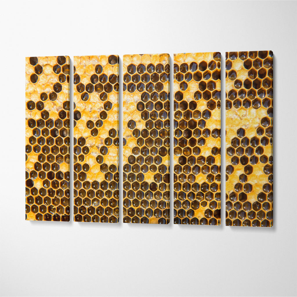 Honeycomb with Honey Canvas Print ArtLexy 5 Panels 36"x24" inches 
