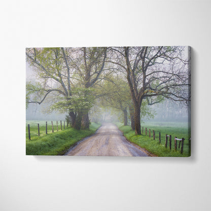 Misty Country Road Canvas Print ArtLexy 1 Panel 24"x16" inches 