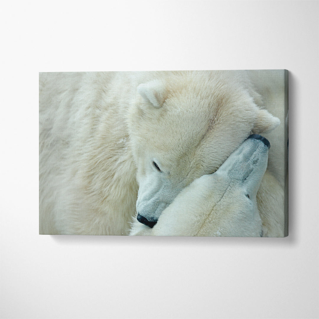 Two Polar Bears Canvas Print ArtLexy 1 Panel 24"x16" inches 
