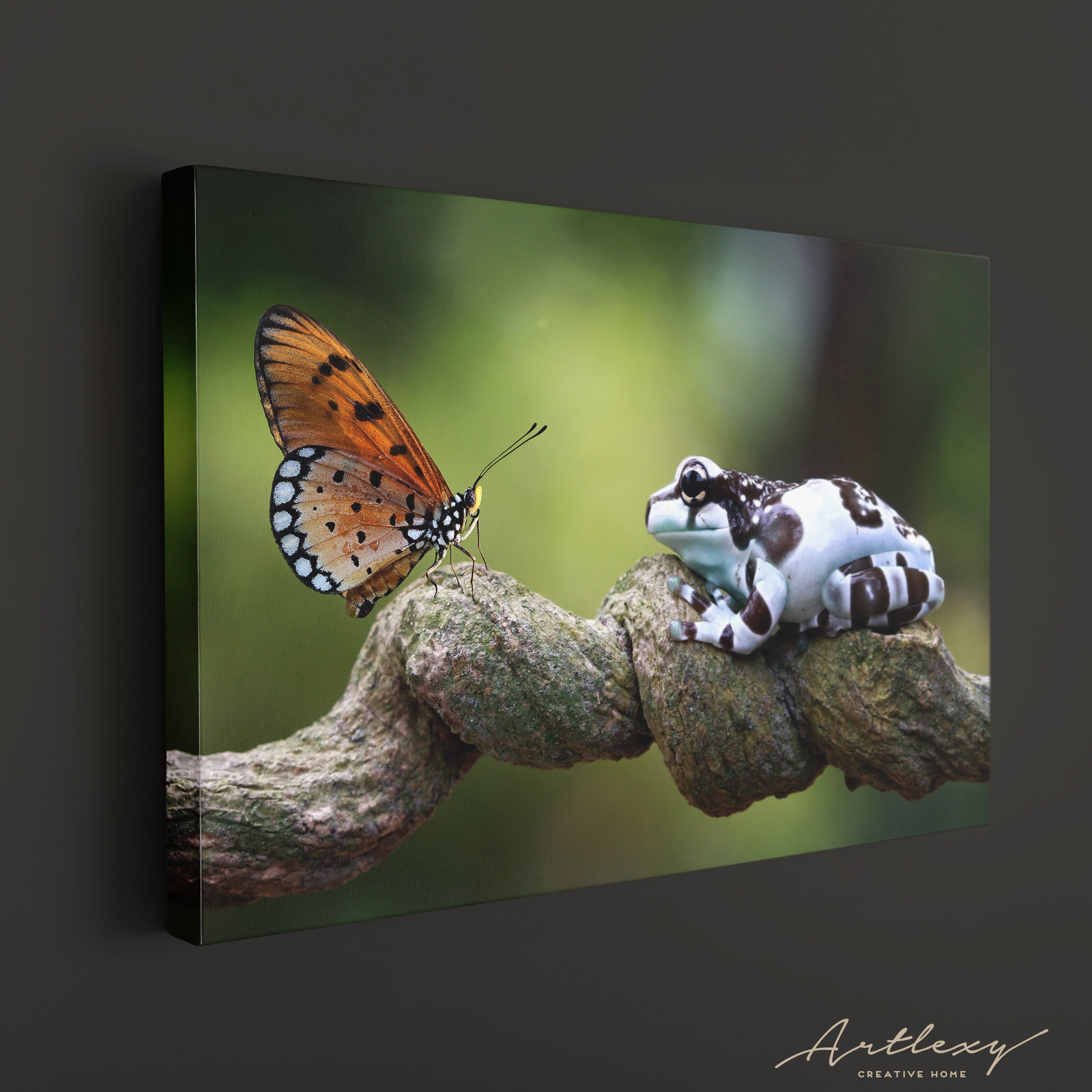 Amazing Amazon Milk Frog with Butterfly Canvas Print ArtLexy   